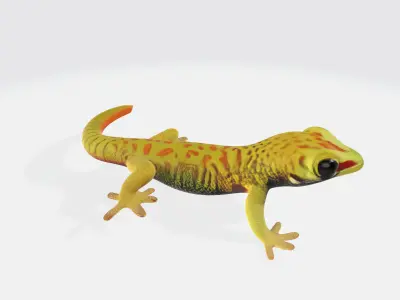 Cute Gecko Lizzard Realistic Model High Poly 3D model