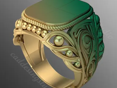 Ring bi111 3D print model