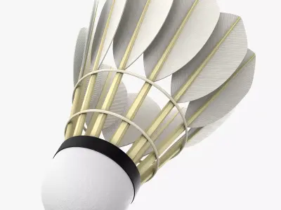 Shuttlecock 3D model