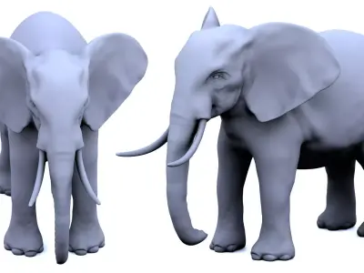 Elephant 3D Model 3D model