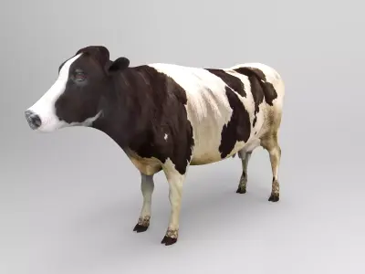 Cow Rigged cattle game ready low poly Low-poly 3D model