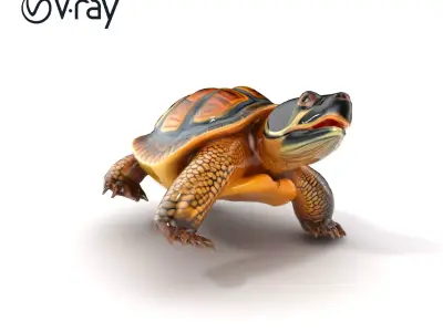 Snapping Turtle Strong Jaw Detailed Model Pack Low-poly 3D model