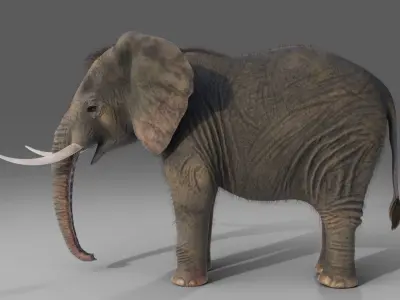 Fur Elephant NO Rigged in Blender  Zbrush Low-poly 3D model