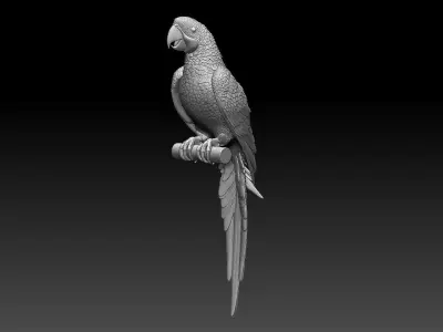 parrot perched on branch 3D print model