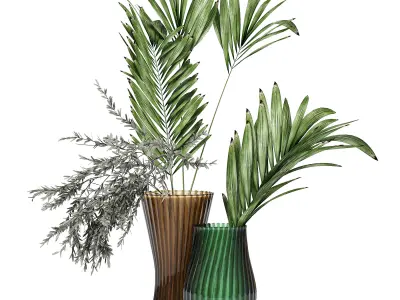 Flowers in vases 3D Model Collection