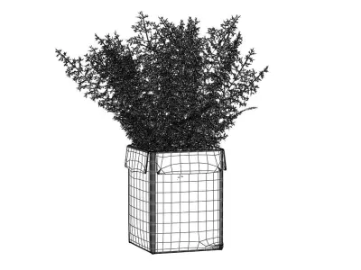 Pot Plant Nr 14 3D model
