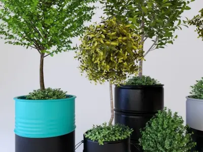 Barrel with trees 3D model