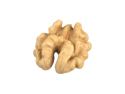 Photorealistic Walnut Kernel 3D Scan 3D model
