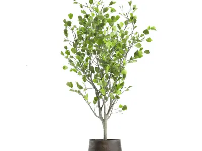 Decorative tree in a flowerpot for the interior 957 3D model