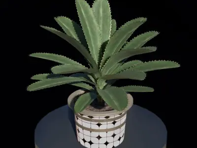 plant in pot Low-poly 3D model