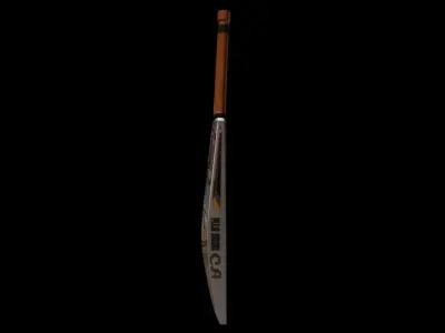 Cricket bat Free 3D model