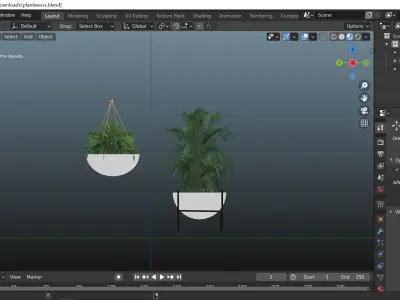 Two decor interior plants set 3D model