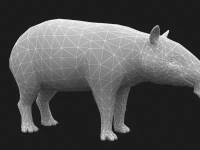Animated Tapir Low-poly 3D model