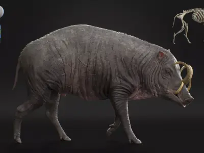 Babirusa warthog 3D model