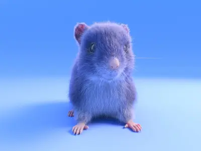 Mouse - grey brown white fur - realistic style - rigged Low-poly 3D model