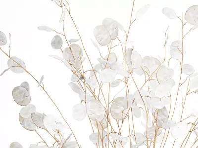 Realistic bouquet white moonflower branches glass vase decor 3D model