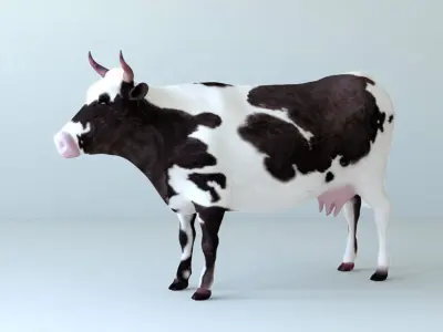 Cows full body Low-poly 3D model