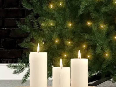 Plants collection 70 christmas tree 3D model