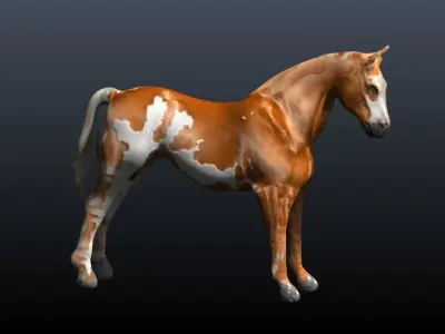 horse 3D model