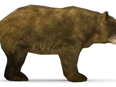 Lowpoly Cartoon Brown Bear Low-poly 3D model