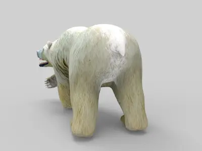 3D Model White Bear Rigged and animated Low-poly 3D model