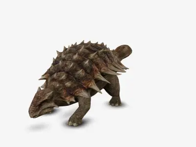 Ankylosaur 3D model