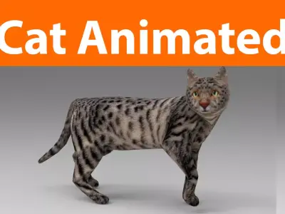 3d Cat Animated Model low poly   Low-poly 3D model