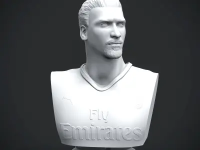 Ibrahimovic 3D Printable 3D print model
