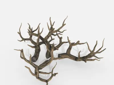 Aquarium Snag Banches V2 3D model