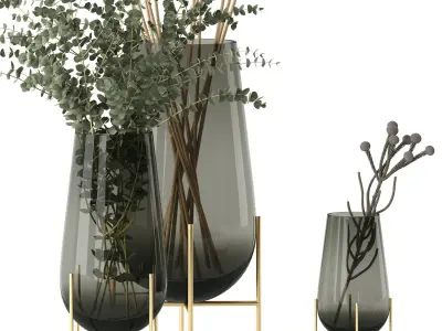 Plants in Echasse Vases 3D model