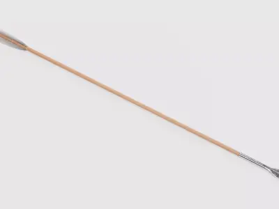 -Viking Arrow V4- 3D model