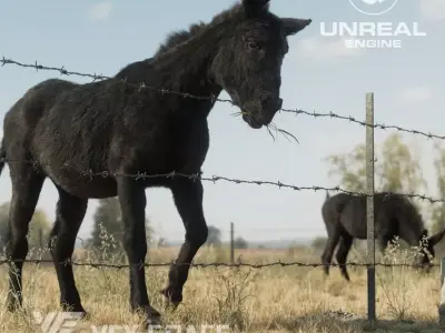 Donkey Winter  UE Character Asset 3D model