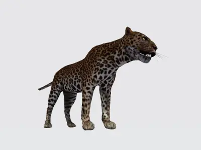 Leopard 3D model