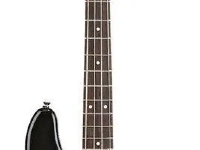 Fender Starcaster Bass guitar Free 3D model