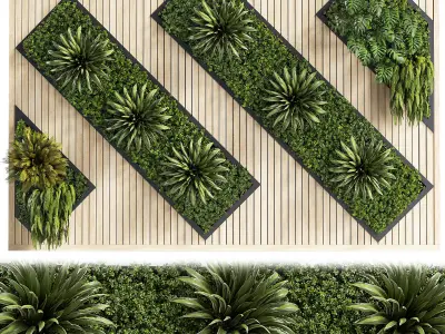 Wall plants set partition in frame 02 3D model