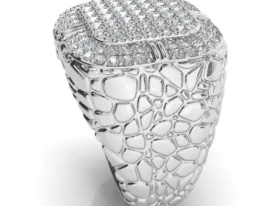 Big fancy mans ring 3D print model