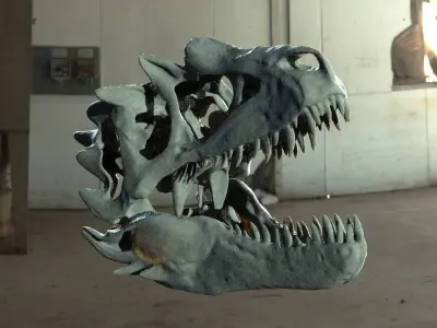 T Rex  scull 3D model