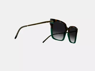 Vela Sunglasses in Aventurine Tortoise with Polished Gold 3D model