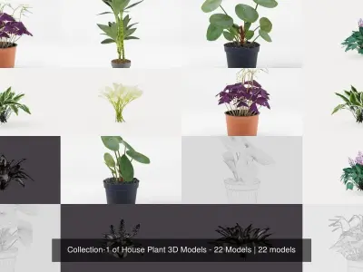 Collection-1 of House Plant 3D Models - 22 Models