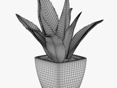 Pot plant 07 3D model