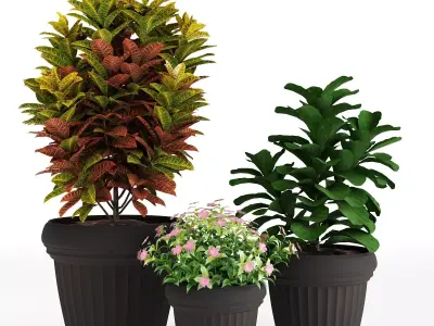 Set 3 Indoor Planters 01 3D model
