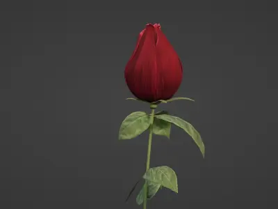 The Rose 3D model