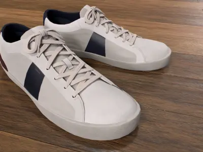 Trainer Shoes Low-poly 3D model