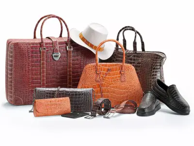 Set of bags 3D model