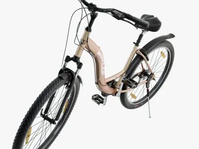 Bike Wheeler 3D model