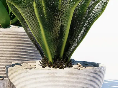 plants set 150 3D model