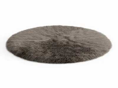 Round Rug Fur 3D model