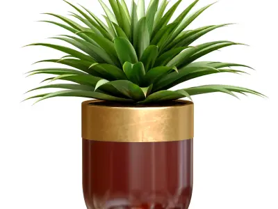 Decorative tropical Agave plant in modern Luxury flower pots 3D model