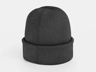 Winter Hat V1 - Dark Knitted Beanie with Folded Cuff 3D model
