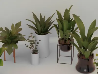 Plants For Decoration Low-poly 3D model